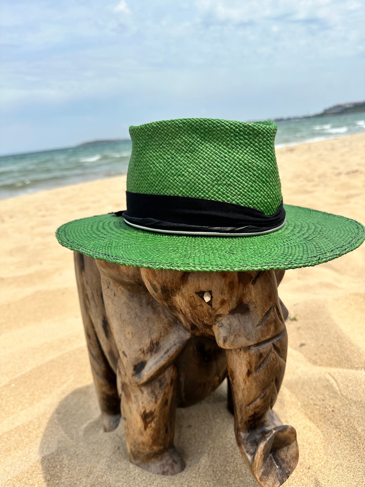 Зелена шапка с две лица DRAGONFLY
